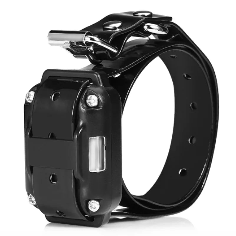 Rechargeable Dog Training Collar – Waterproof with Remote Control