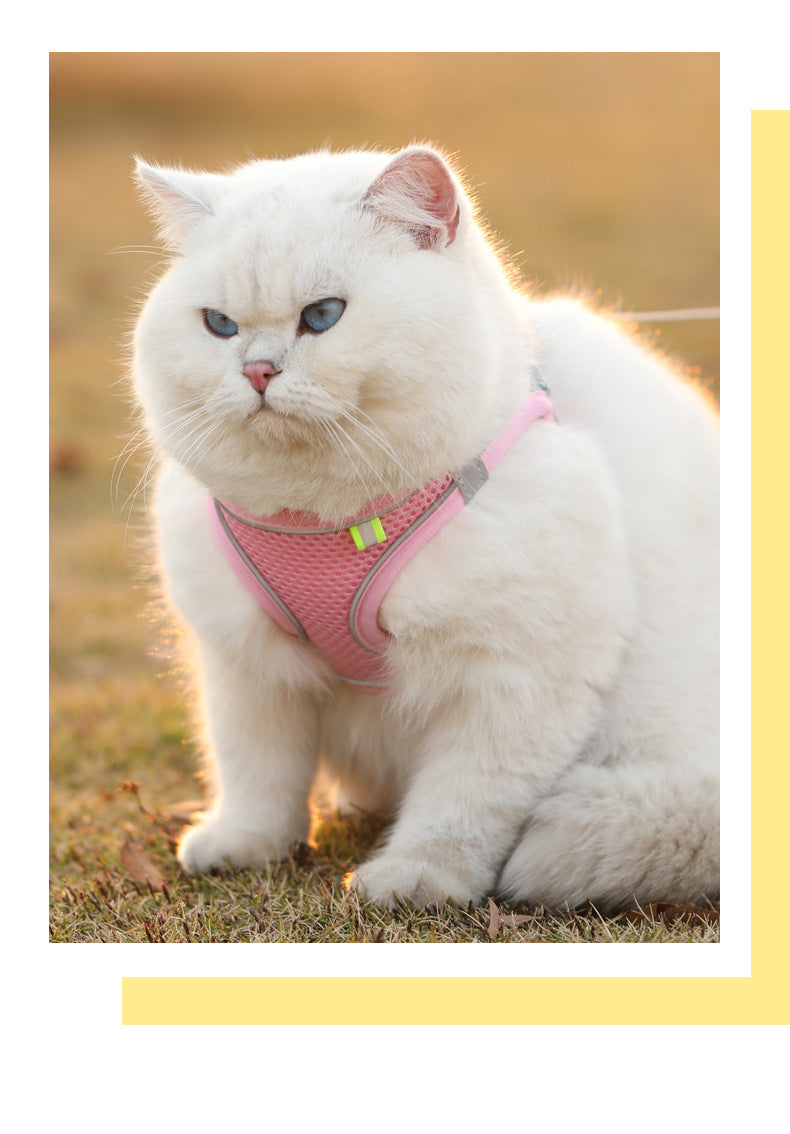 Reflective Pet Harness & Leash Set – Adjustable, Breathable for Cats & Dogs