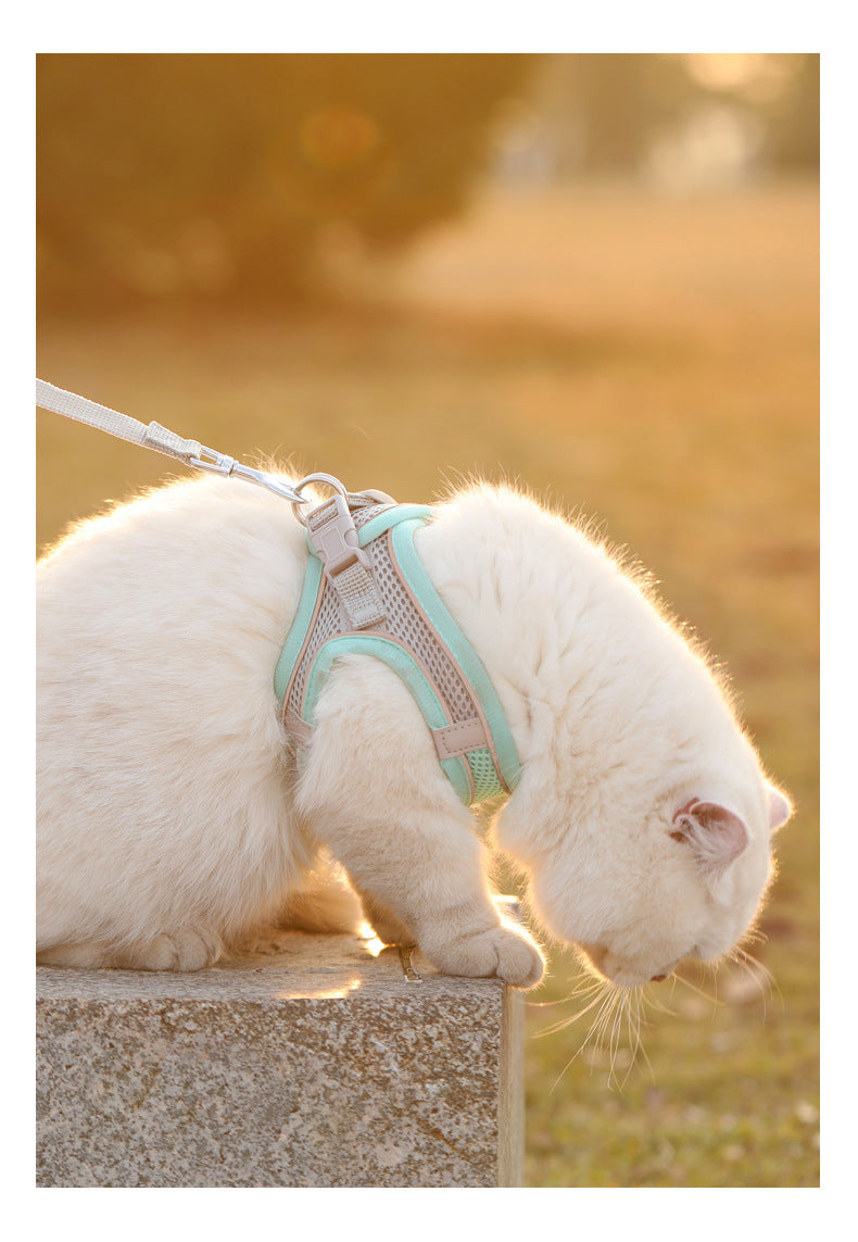 Reflective Pet Harness & Leash Set – Adjustable, Breathable for Cats & Dogs