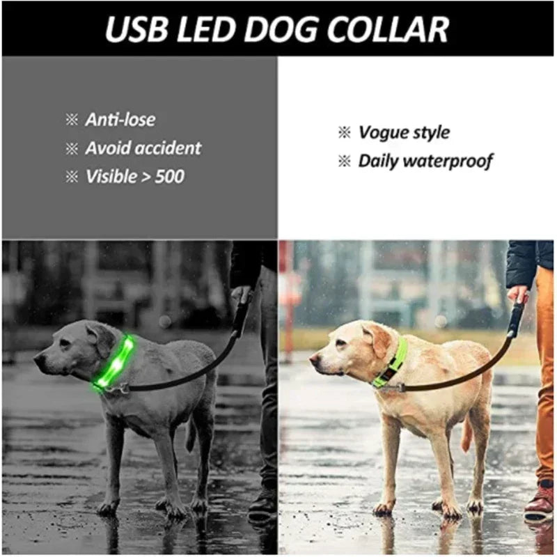 LED Dog Collar – Adjustable Rechargeable Glowing Night Safety Collar