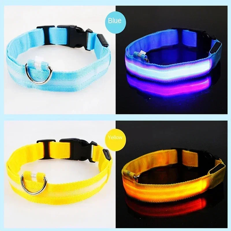 LED Dog Collar – Adjustable Rechargeable Glowing Night Safety Collar