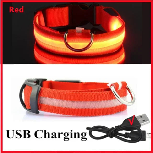LED Dog Collar – Adjustable Rechargeable Glowing Night Safety Collar