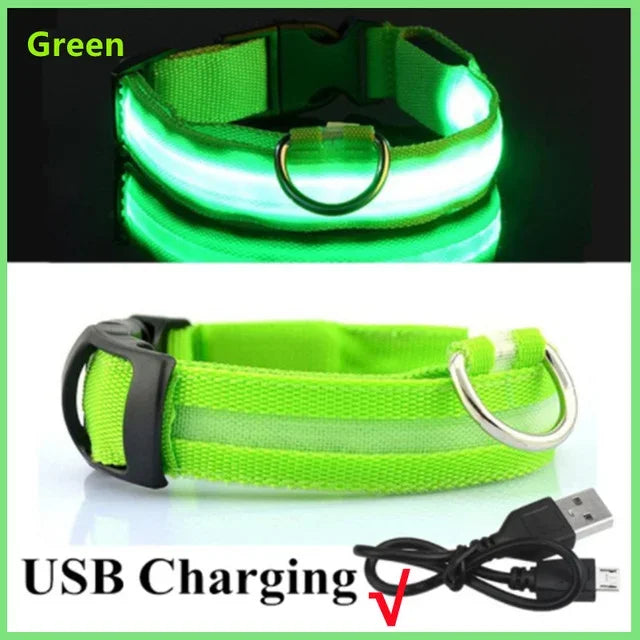 LED Dog Collar – Adjustable Rechargeable Glowing Night Safety Collar