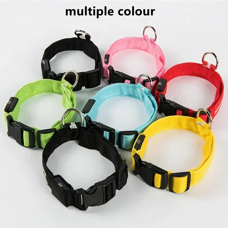 LED Dog Collar – Adjustable Rechargeable Glowing Night Safety Collar