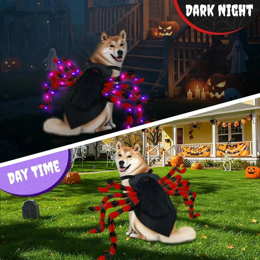 Luminous Pet Spider Halloween Costume