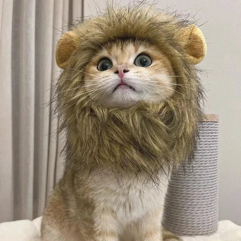 Pet Lion Wig Cap Costume