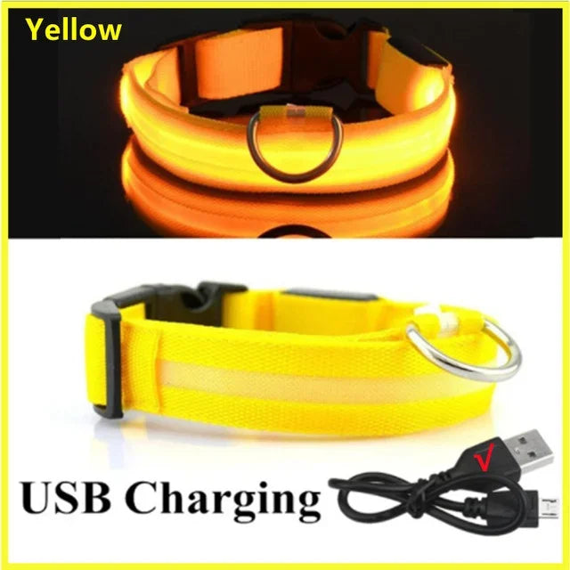 LED Dog Collar – Adjustable Rechargeable Glowing Night Safety Collar