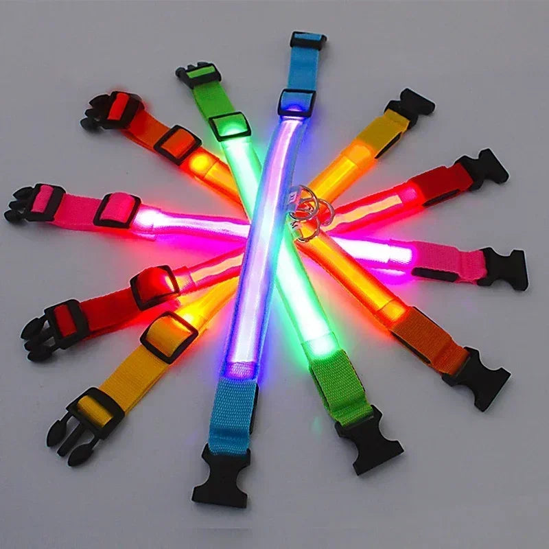 LED Dog Collar – Adjustable Rechargeable Glowing Night Safety Collar