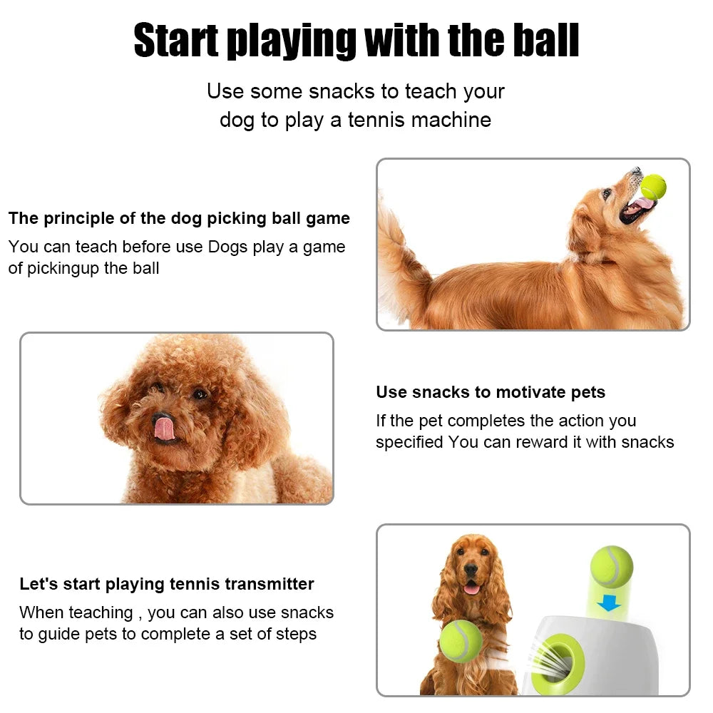 Automatic Dog Ball Launcher – Fun Tennis Thrower for Small Pets