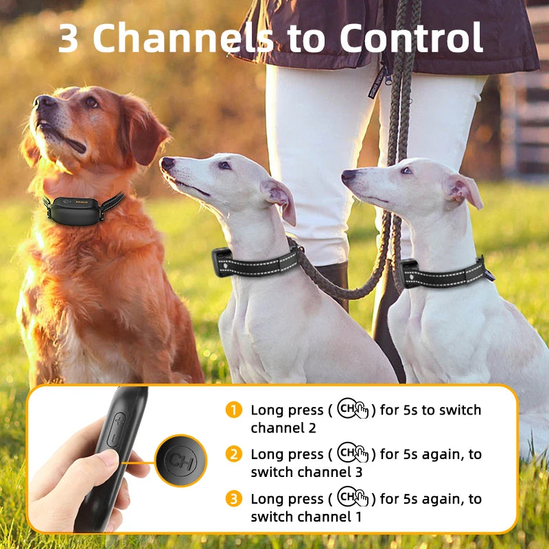 Dog Training Collar – Rechargeable Remote Control & IPX7 Waterproof