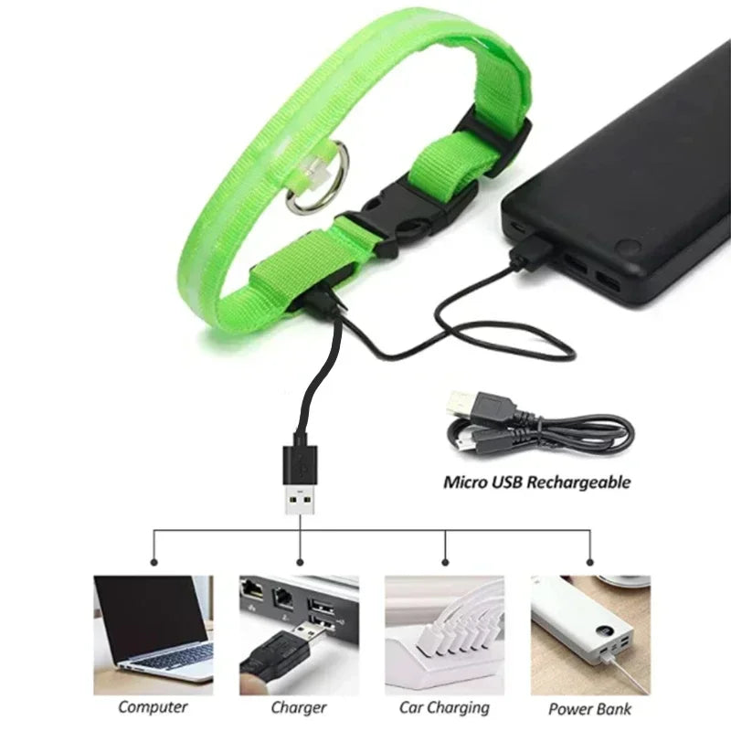 LED Dog Collar – Adjustable Rechargeable Glowing Night Safety Collar