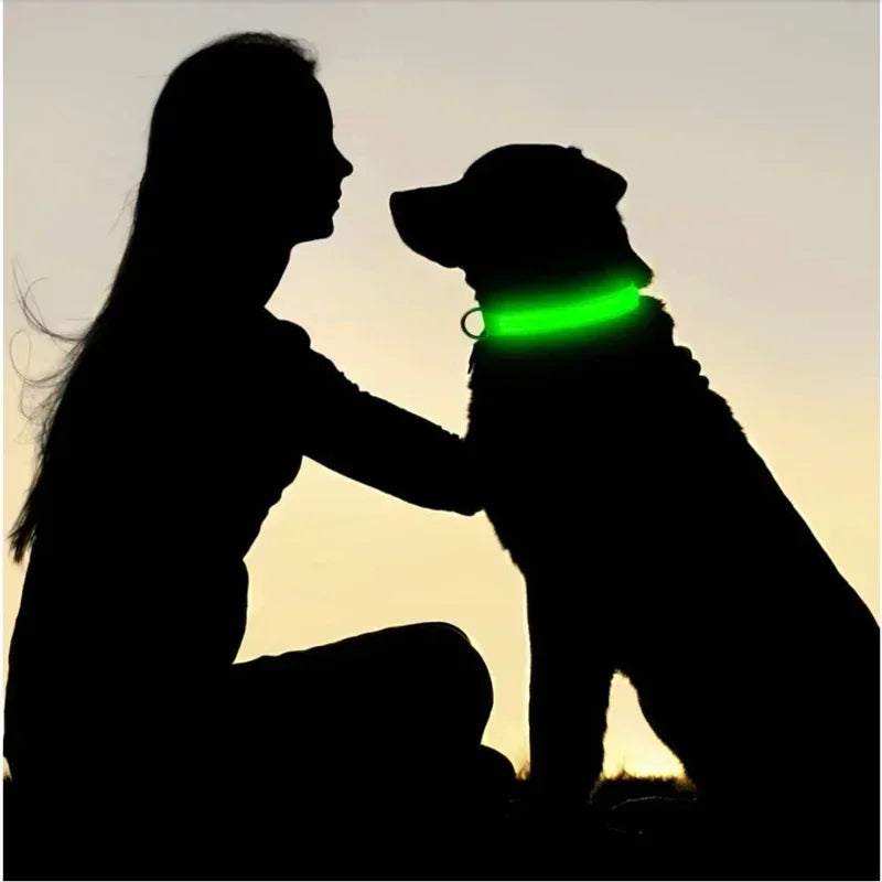 LED Dog Collar – Adjustable Rechargeable Glowing Night Safety Collar