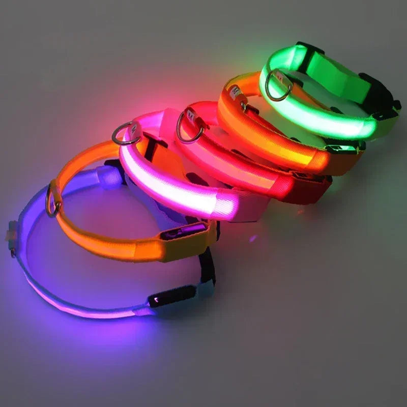 LED Dog Collar – Adjustable Rechargeable Glowing Night Safety Collar