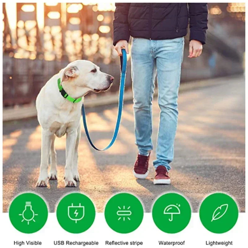 LED Dog Collar – Adjustable Rechargeable Glowing Night Safety Collar