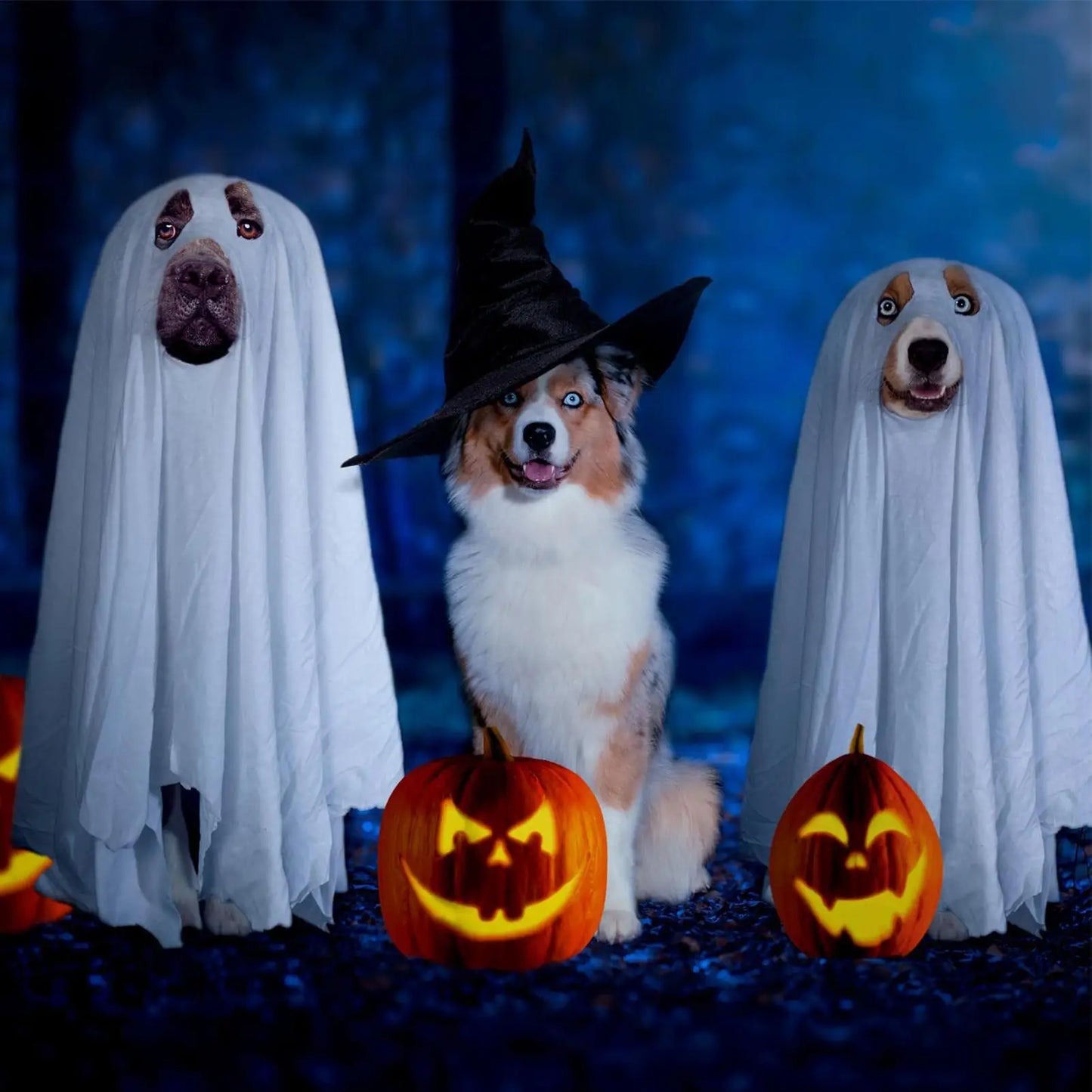 Pet Halloween Ghost Costume