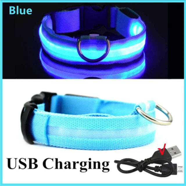 LED Dog Collar – Adjustable Rechargeable Glowing Night Safety Collar
