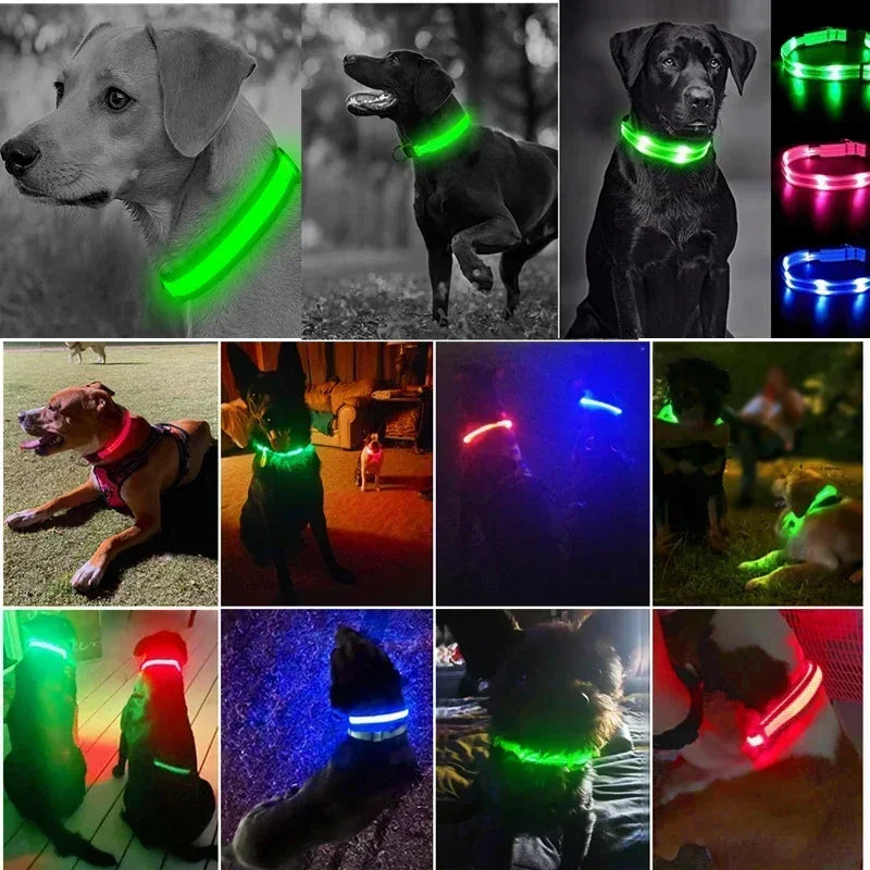 LED Dog Collar – Adjustable Rechargeable Glowing Night Safety Collar