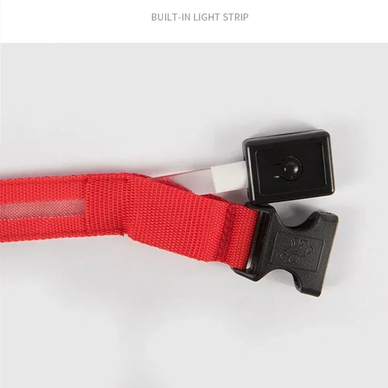 LED Dog Collar – Adjustable Rechargeable Glowing Night Safety Collar