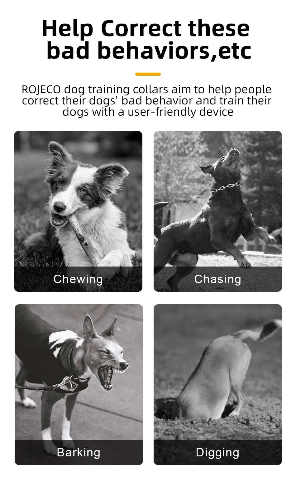 Dog Training Collar – Rechargeable Remote Control & IPX7 Waterproof