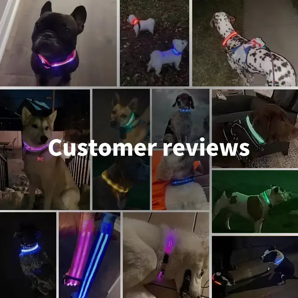 LED Dog Collar – Adjustable Rechargeable Glowing Night Safety Collar