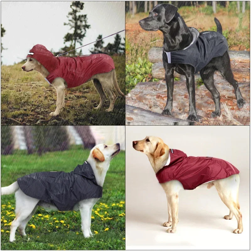 Dog Raincoat with Hood – Waterproof Jacket with Reflective Stripes