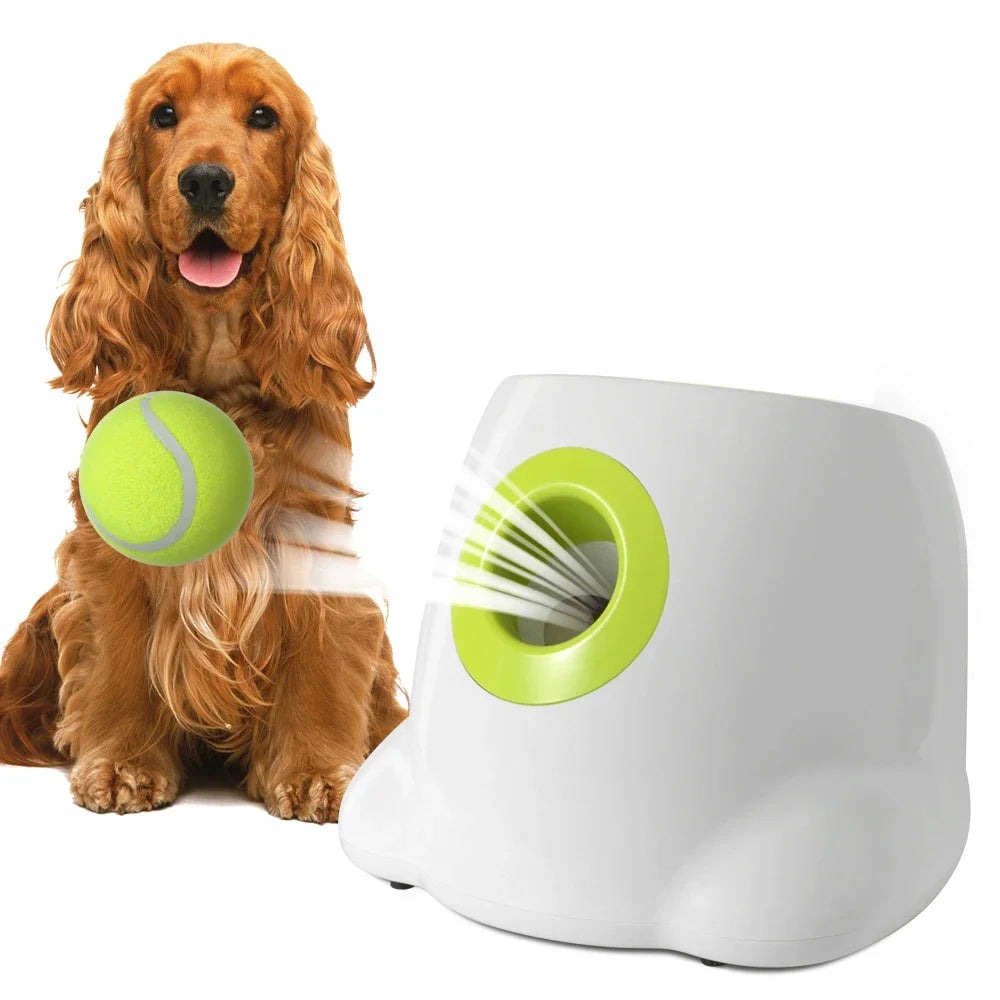 Automatic Dog Ball Launcher – Fun Tennis Thrower for Small Pets