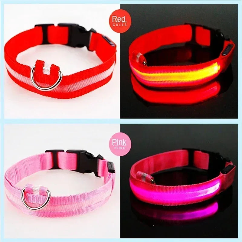 LED Dog Collar – Adjustable Rechargeable Glowing Night Safety Collar