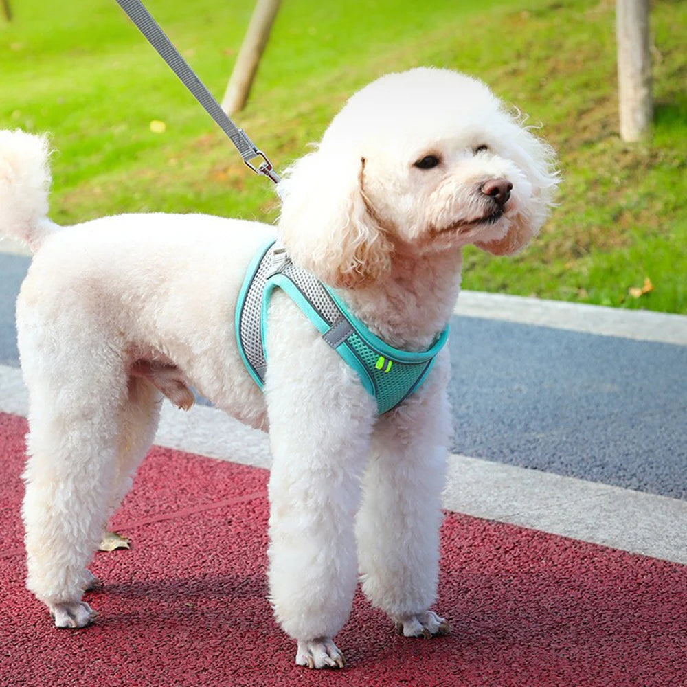 Reflective Pet Harness & Leash Set – Adjustable, Breathable for Cats & Dogs
