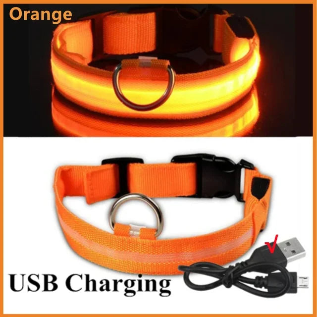 LED Dog Collar – Adjustable Rechargeable Glowing Night Safety Collar