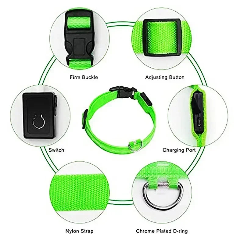 LED Dog Collar – Adjustable Rechargeable Glowing Night Safety Collar