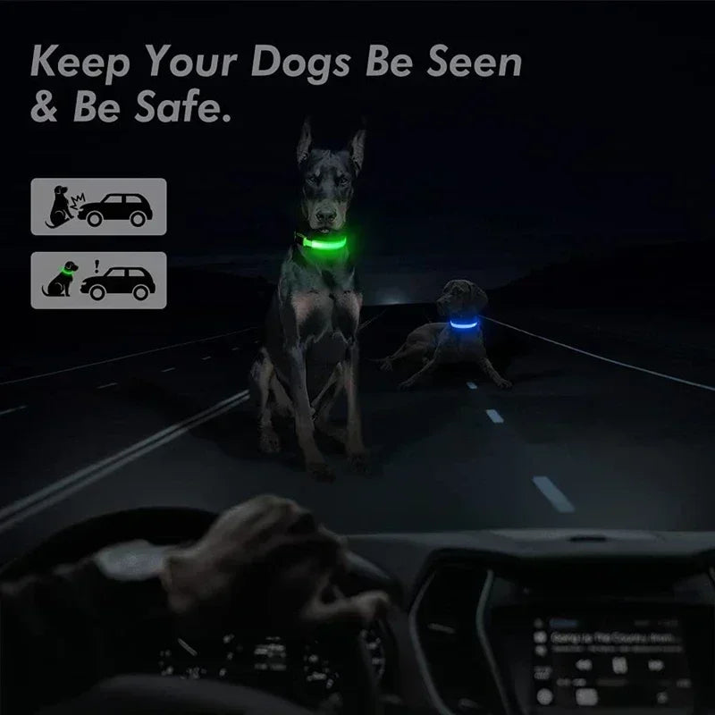 LED Dog Collar – Adjustable Rechargeable Glowing Night Safety Collar