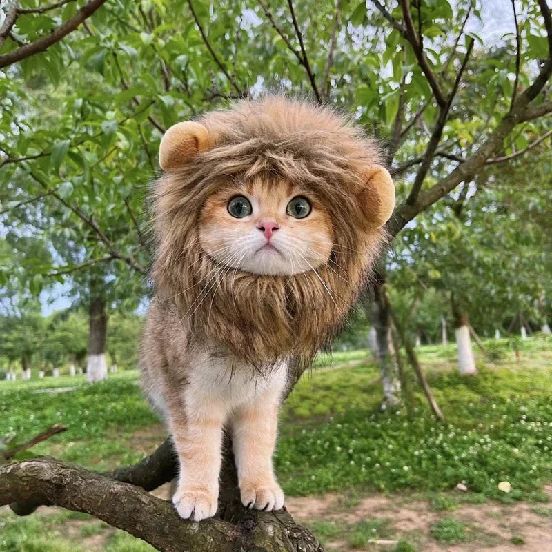 Pet Lion Wig Cap Costume