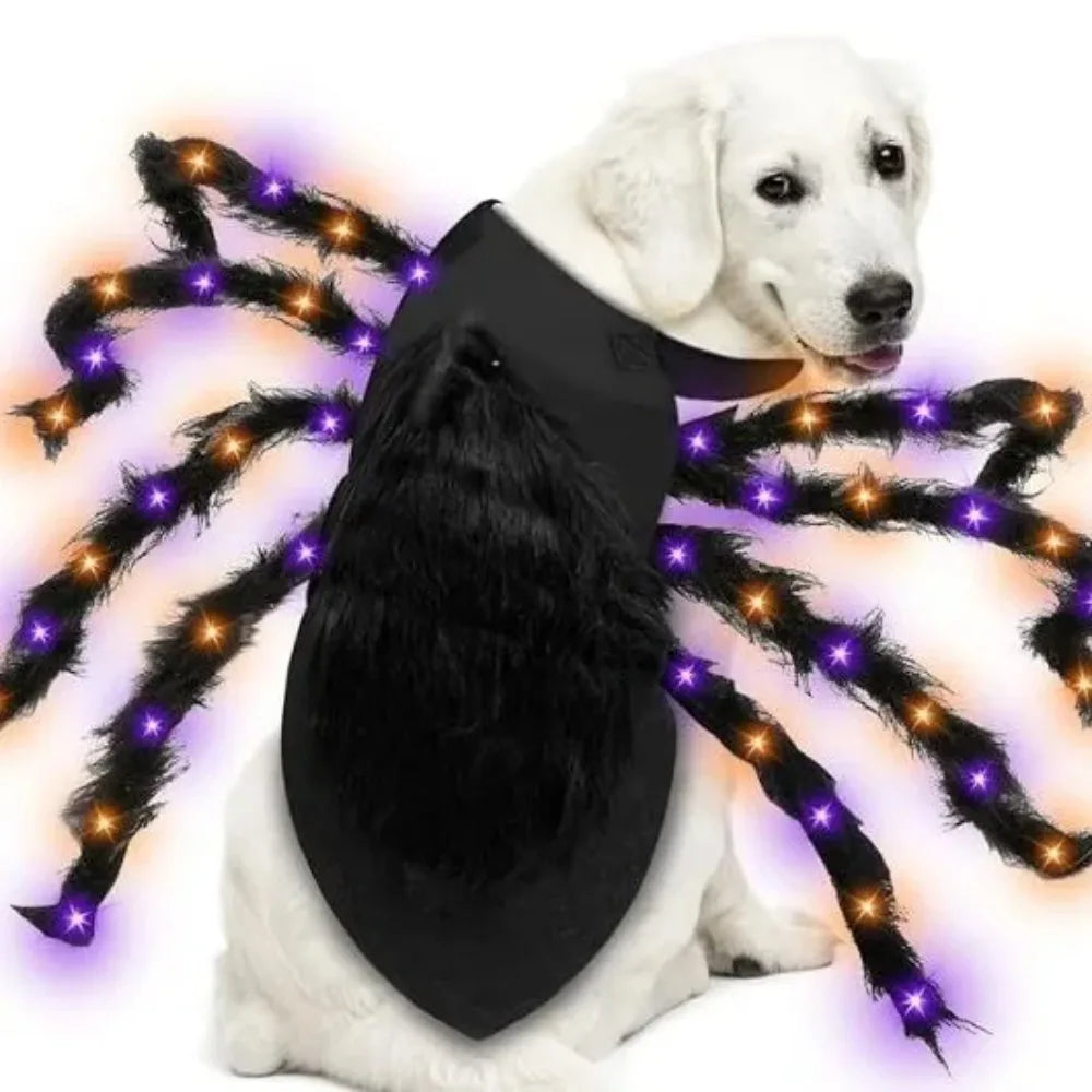 Luminous Pet Spider Halloween Costume