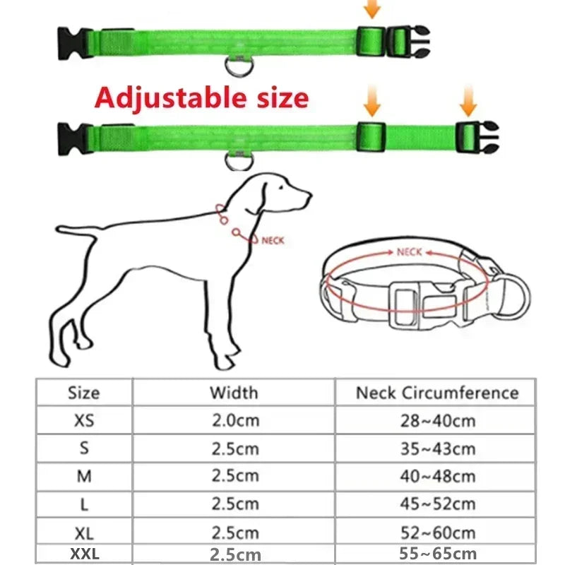 LED Dog Collar – Adjustable Rechargeable Glowing Night Safety Collar
