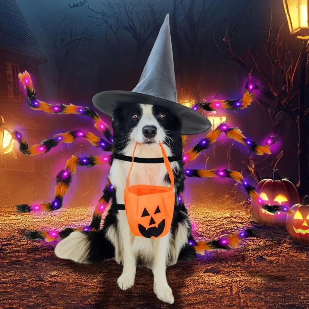 Luminous Pet Spider Halloween Costume