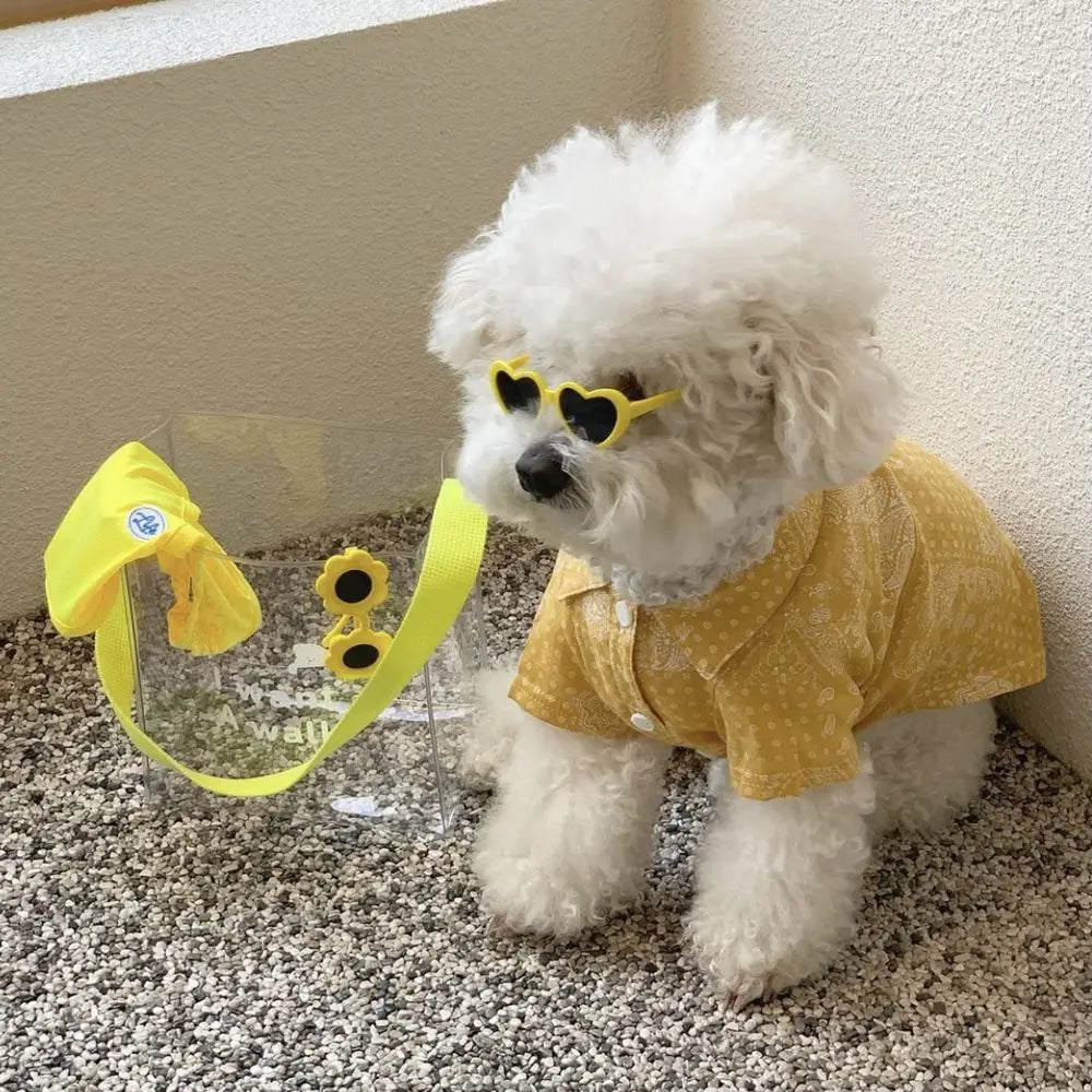 Pet Eye-Wear – Stylish Pet Sunglasses for Parties & Photoshoots