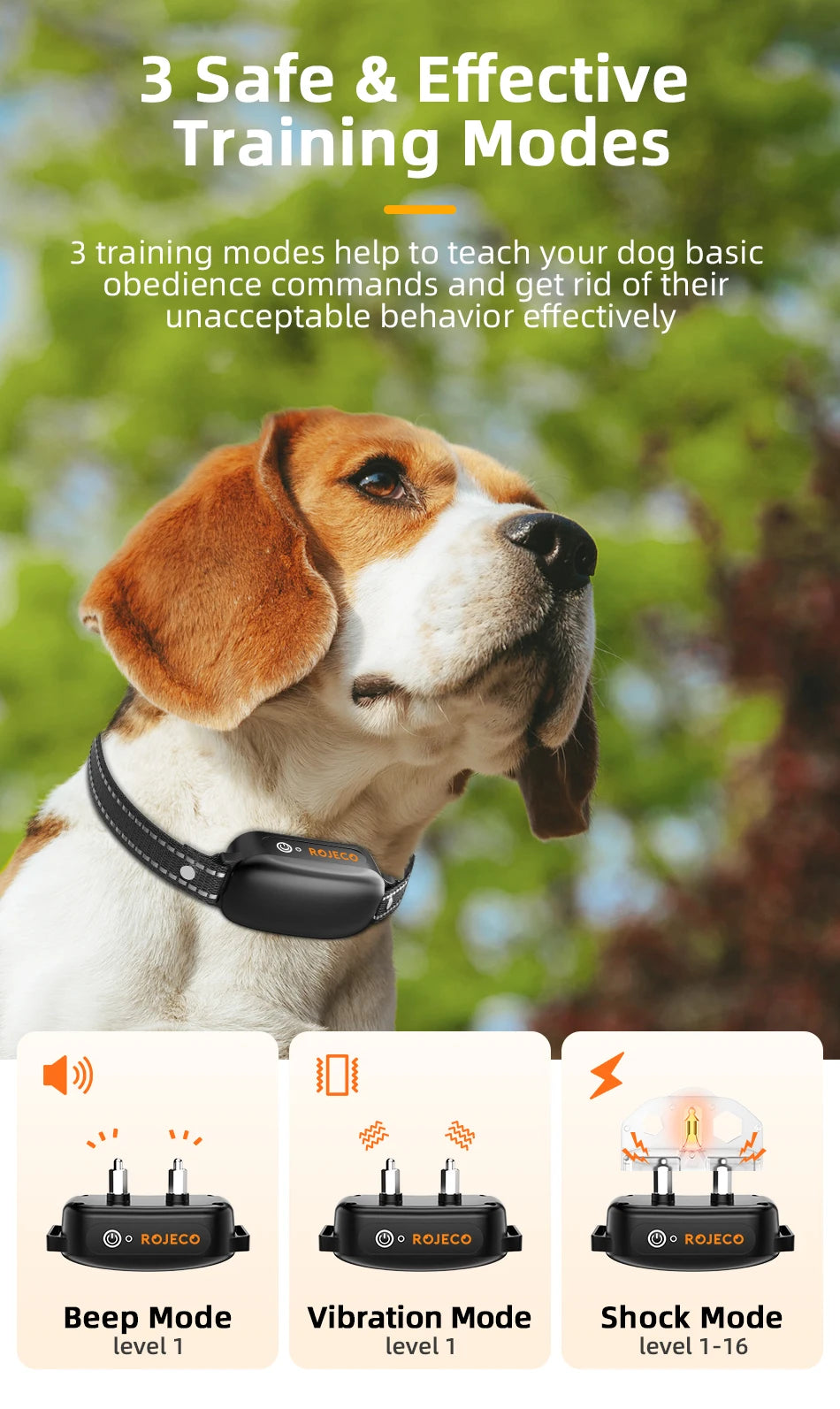Dog Training Collar – Rechargeable Remote Control & IPX7 Waterproof