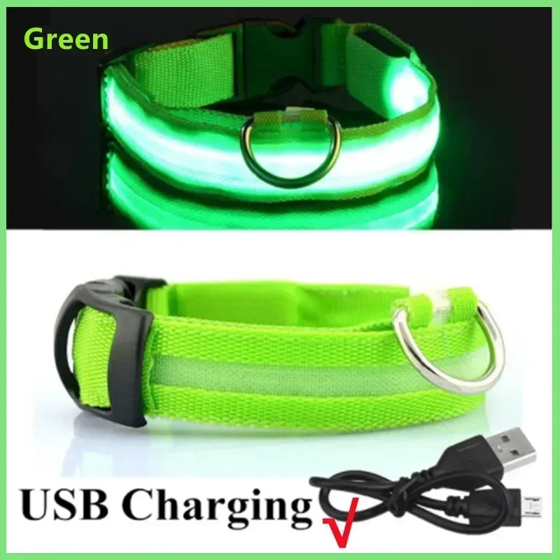 LED Dog Collar – Adjustable Rechargeable Glowing Night Safety Collar