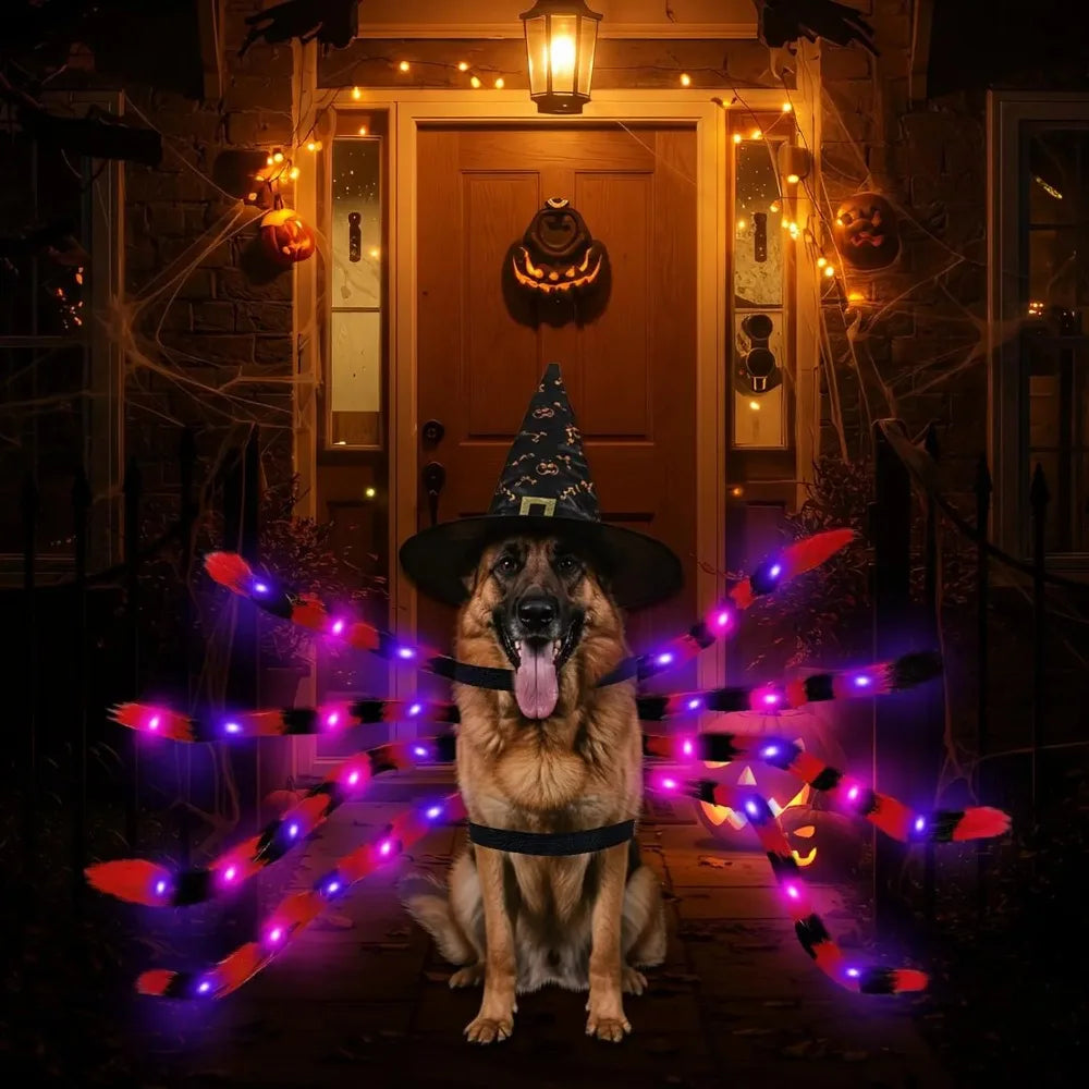 Luminous Pet Spider Halloween Costume