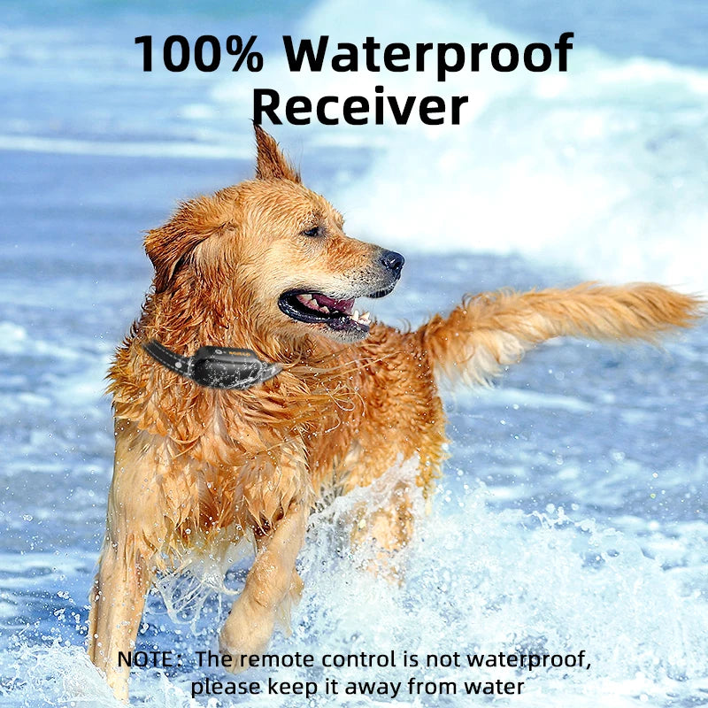 Dog Training Collar – Rechargeable Remote Control & IPX7 Waterproof