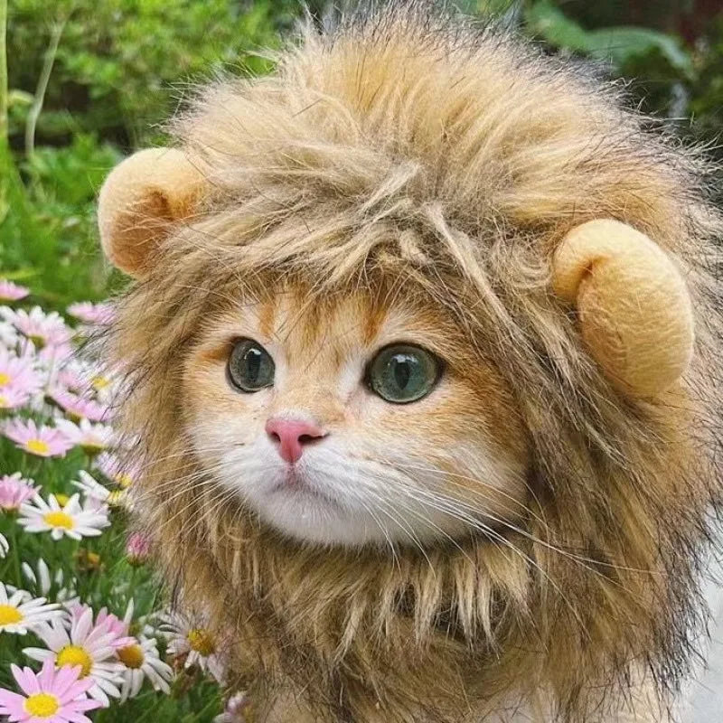 Pet Lion Wig Cap Costume