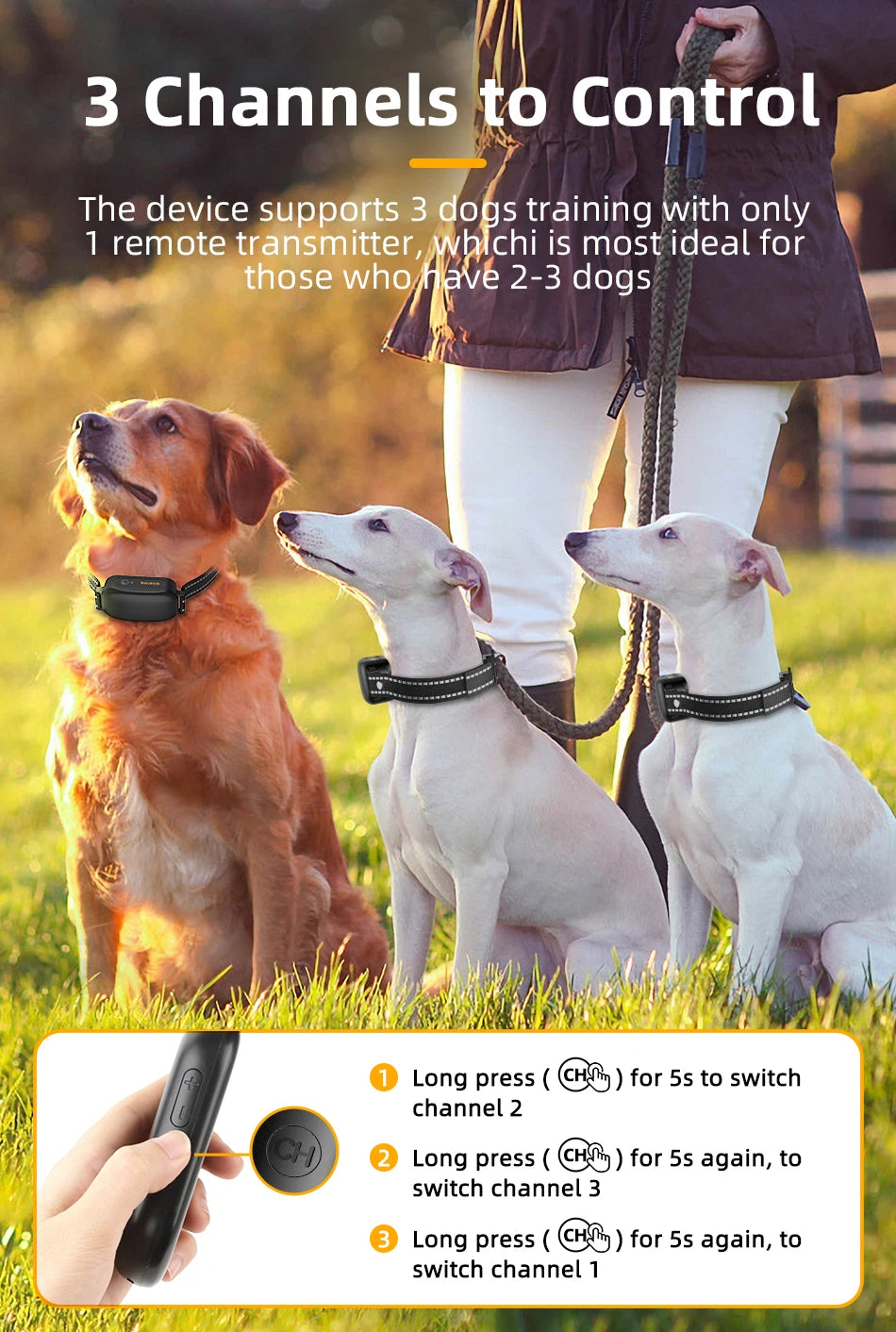Dog Training Collar – Rechargeable Remote Control & IPX7 Waterproof