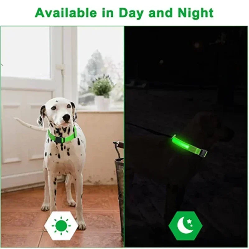 LED Dog Collar – Adjustable Rechargeable Glowing Night Safety Collar