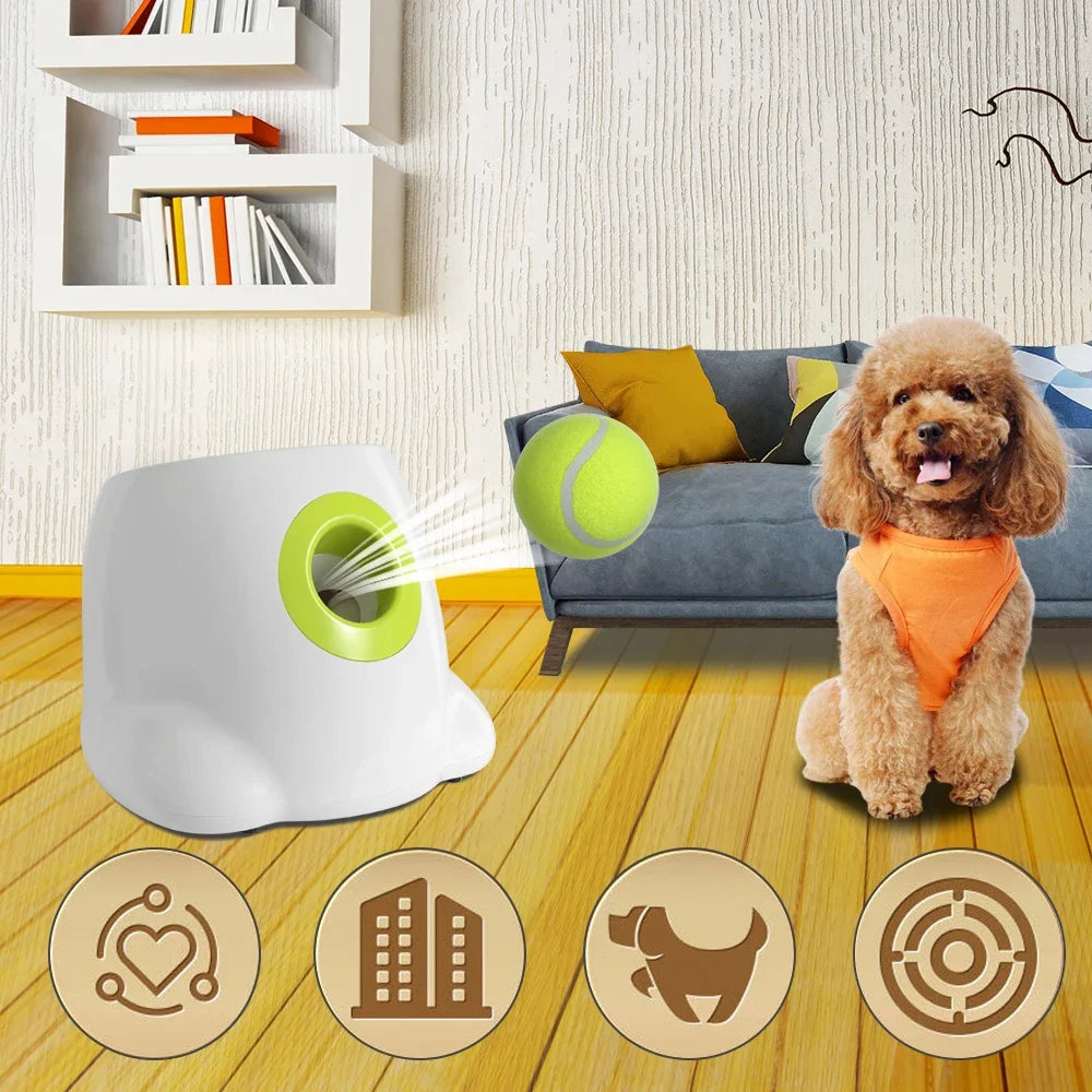 Automatic Dog Ball Launcher – Fun Tennis Thrower for Small Pets