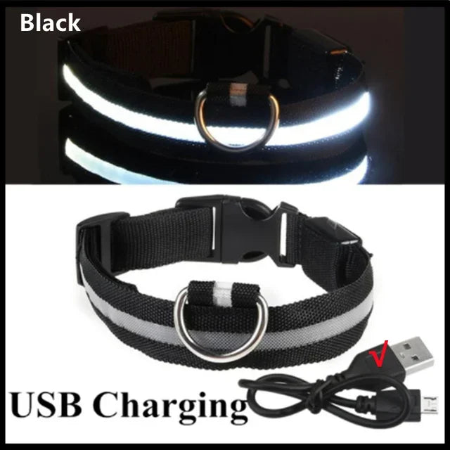 LED Dog Collar – Adjustable Rechargeable Glowing Night Safety Collar