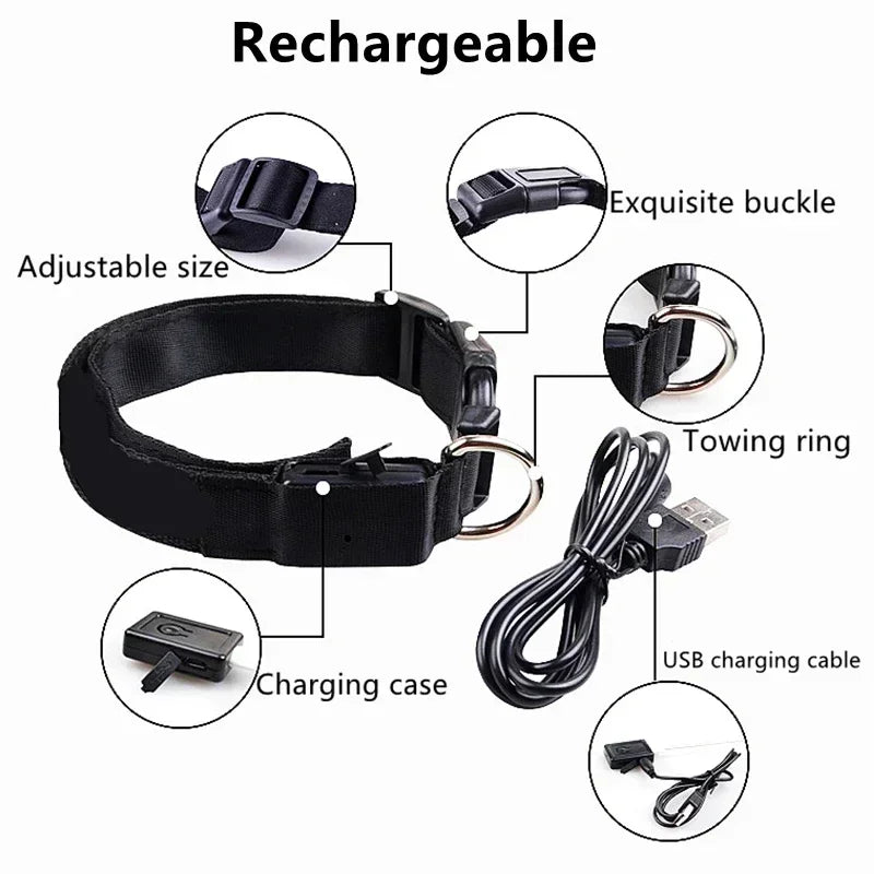 LED Dog Collar – Adjustable Rechargeable Glowing Night Safety Collar