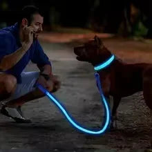 Pet collar