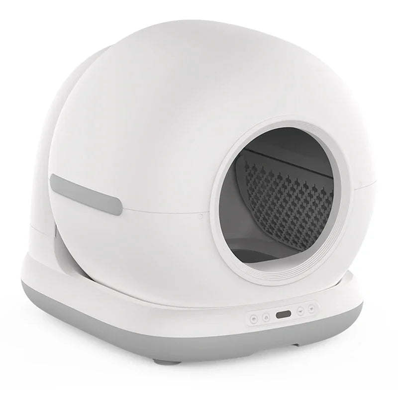 litter box
