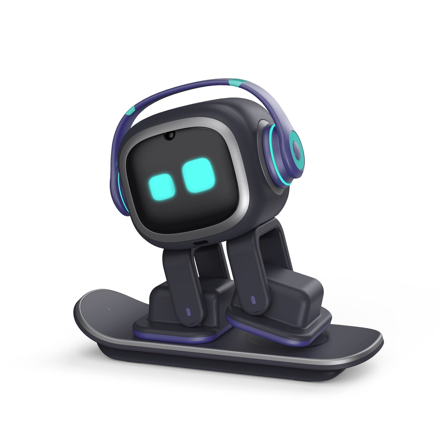 Pet robot