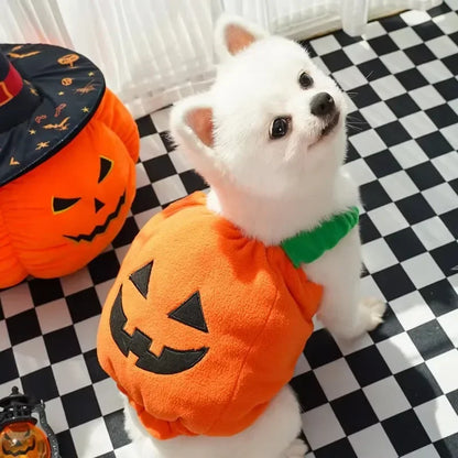 Halloween Pumpkin Costume for Dogs & Cats – Funny Outfit with Hat